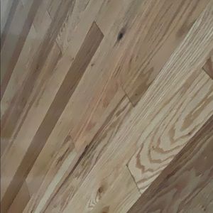 Meet your Posher, Elisa